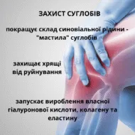 Гіалуронова кислота (Hyaluronic Acid), 60 капсул, Green Visa - Зображення 3