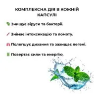 Комплекс від застуди та грипу (Cold & Flu Complex), 60 капсул, Green Visa - Зображення 2