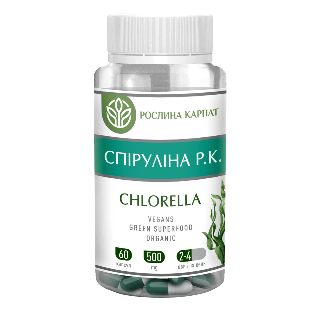 Спіруліна Р.К. Chlorella 60 кап. Спіруліна Р.К. Chlorella 60 кап. - Зображення 1