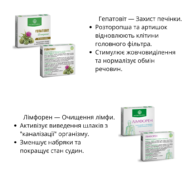 Програма очищення організму Рослина Карпат (Гельмінтозин, Лімфорен, Фунгіцин, Гепатовіт, Дермісан, Мікобен) - Зображення 8