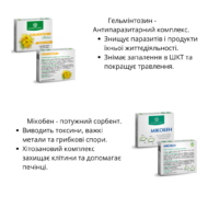 Програма очищення організму Рослина Карпат (Гельмінтозин, Лімфорен, Фунгіцин, Гепатовіт, Дермісан, Мікобен) - Зображення 6