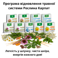 Повна програма для відновлення роботи ШКТ Рослина Карпат (травлення, печінка і підшлункова залоза)