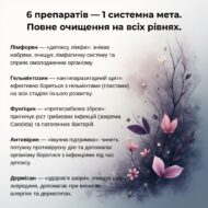 Програма очищення організму Рослина Карпат (Гельмінтозин, Лімфорен, Фунгіцин, Гепатовіт, Дермісан, Мікобен) - Зображення 3