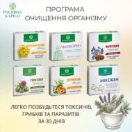 Програма очищення організму Рослина Карпат (Гельмінтозин, Лімфорен, Фунгіцин, Гепатовіт, Дермісан, Мікобен)