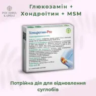 Хондротин - Pro 60 кап. - Зображення 2