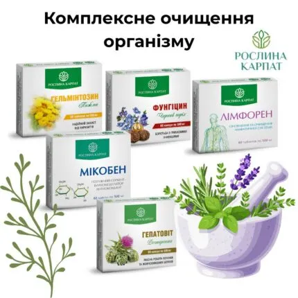 Комплексна програма очищення організму Рослина Карпат