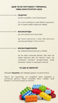 Лецитин соняшниковий Грін Віза — комплекс фосфоліпідів для підтримки печінки та нервової системи (90 капсул) - Зображення 4