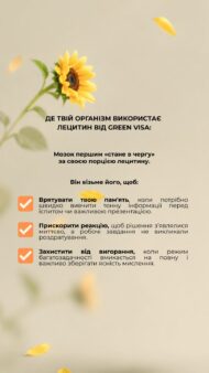 Лецитин соняшниковий Грін Віза — комплекс фосфоліпідів для підтримки печінки та нервової системи (90 капсул) - Зображення 5