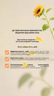 Лецитин (Lecithin), 90 капсул, Green Visa - Зображення 6