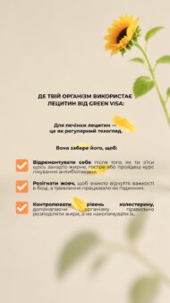 Лецитин соняшниковий Грін Віза — комплекс фосфоліпідів для підтримки печінки та нервової системи (90 капсул) - Зображення 6