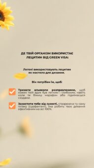 Лецитин соняшниковий Грін Віза — комплекс фосфоліпідів для підтримки печінки та нервової системи (90 капсул) - Зображення 7