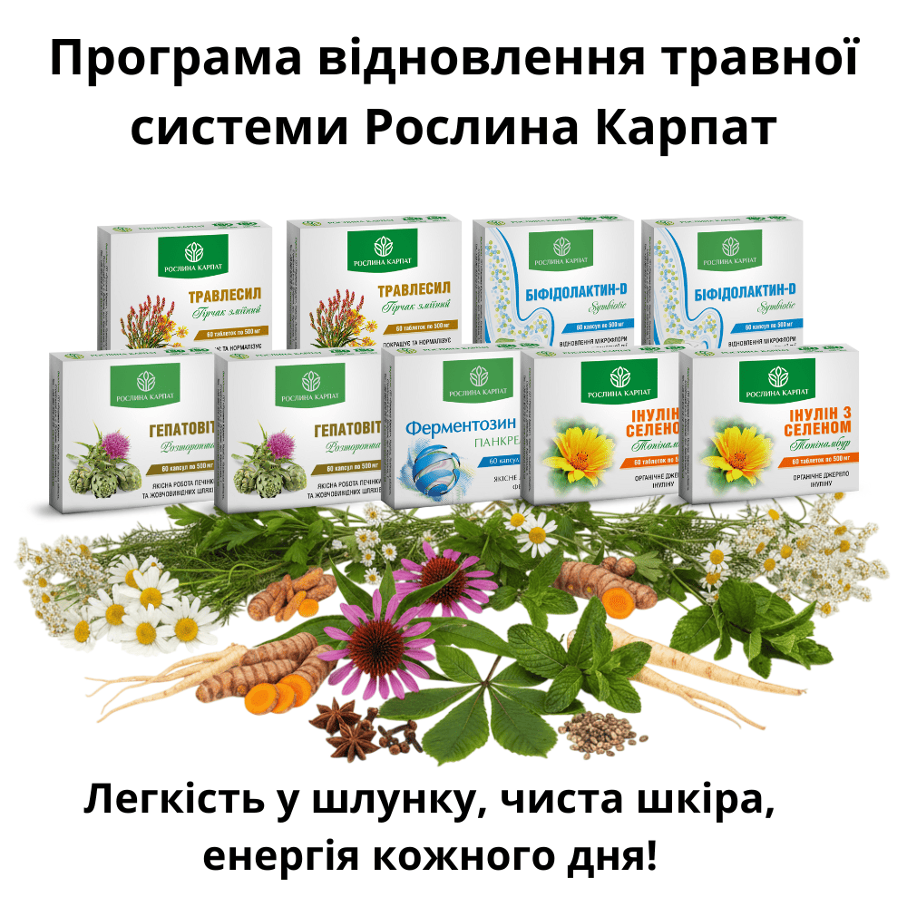 Фітопрограма для відновлення травної системи Комплексна програма для відновлення травної системи Рослина Карпат - Зображення 1