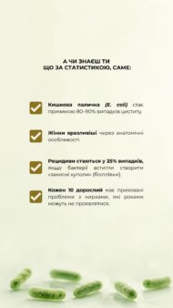 Уросептін (Уросептик), 60 капсул, GREEN VISA - Зображення 4