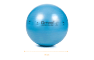 Фітбол - Qmed ABS Gym Ball 75 см. Гімнастичний м'яч для фітнесу. Синій - Зображення 2